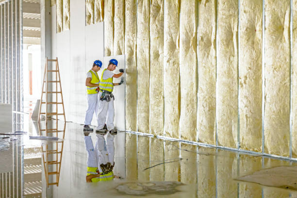 Best Basement Insulation  in Amberley, OH