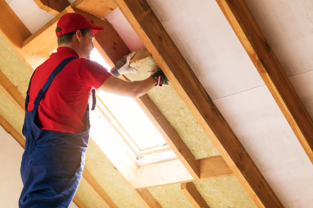 Eco-Friendly or Green Insulation Solutions in Amberley, OH